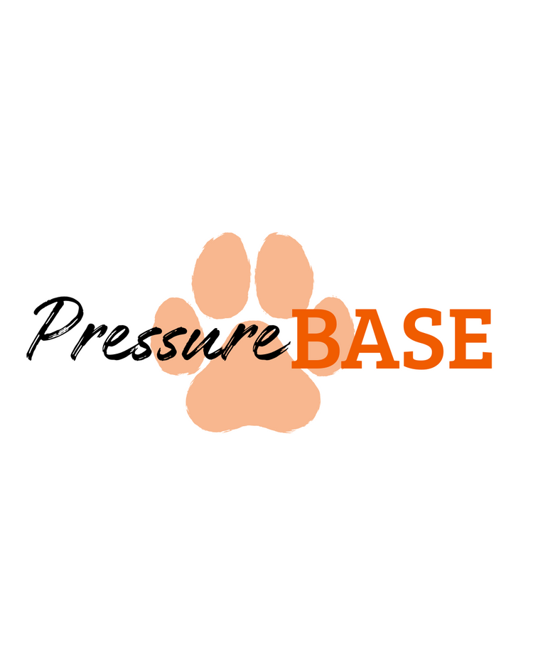 PRESSURE BASE