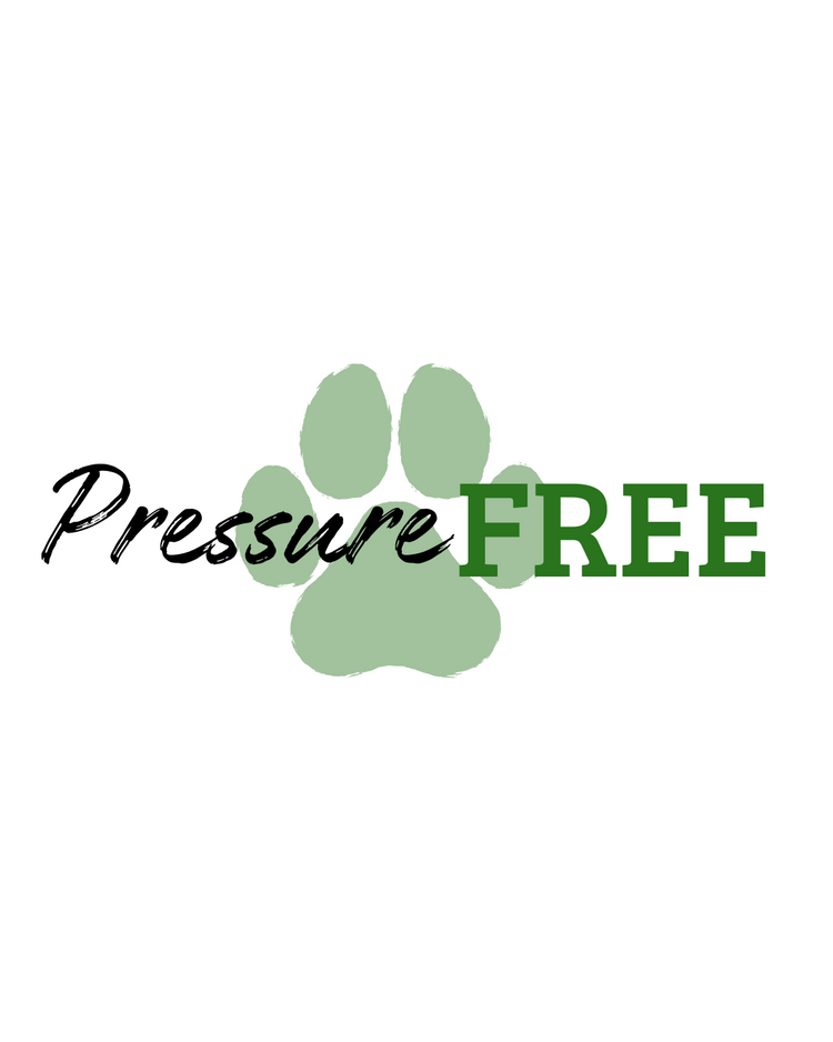 PRESSURE-FREE Alimento per cani pressato a freddo senza cereali. Ricco in nutrimenti - frutta e verdura selezionata