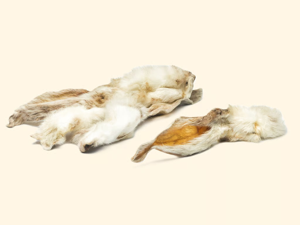 PressureSnack - Orecchie di Coniglio