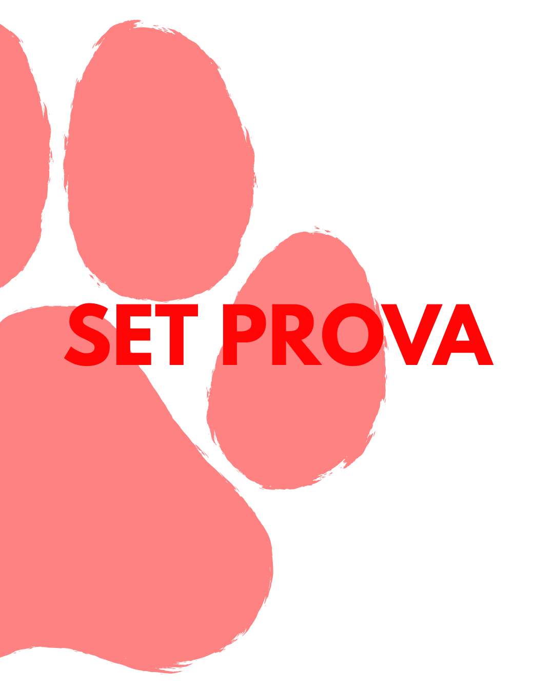 SET PROVA