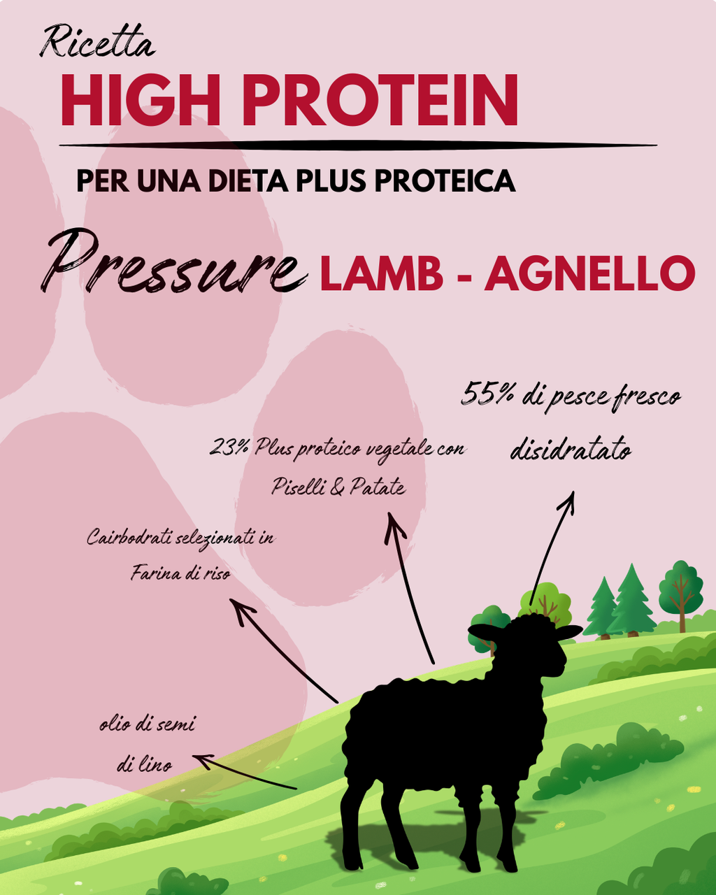 PRESSURE LAMB - RICETTA PLUS PROTEICA