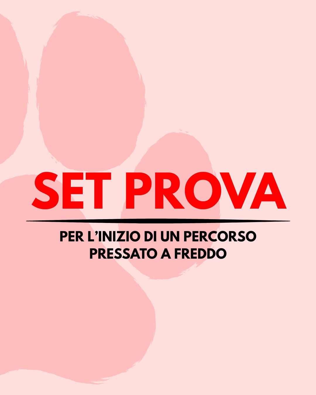 SET PROVA PRESSUREDOG