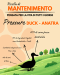 PRESSURE DUCK - RICETTA DI MANTENIMENTO