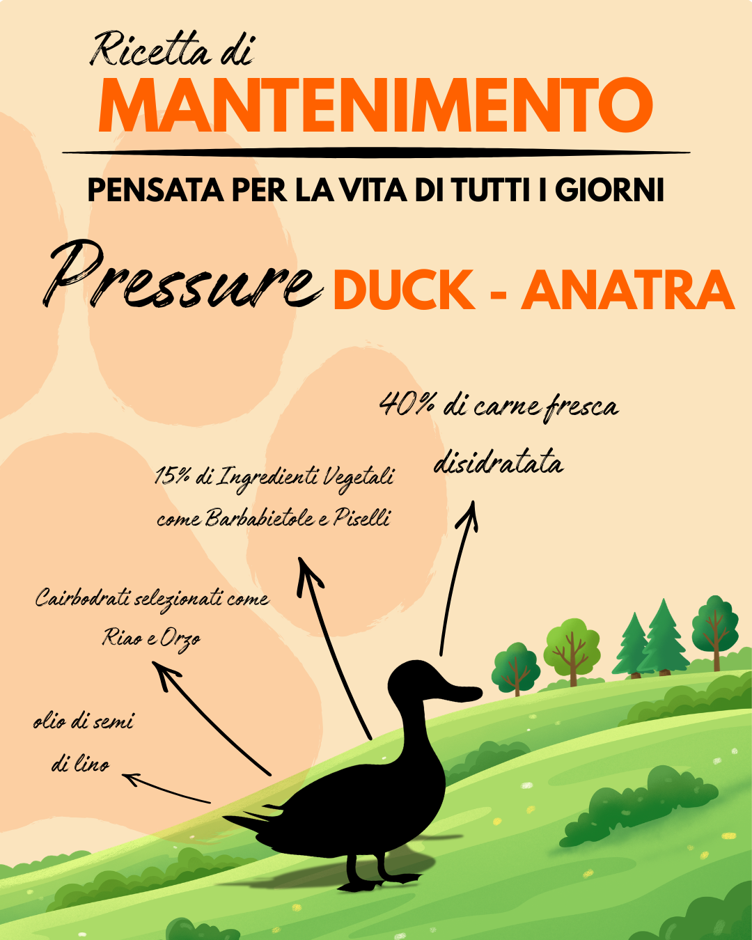 PRESSURE DUCK - RICETTA DI MANTENIMENTO