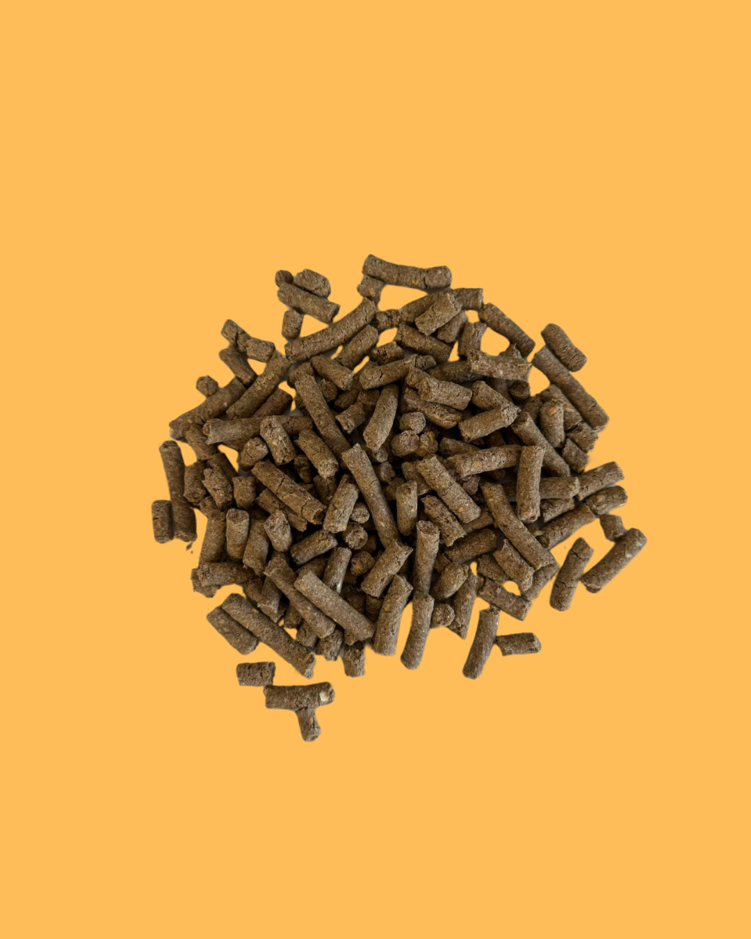 PressureBase al Maiale