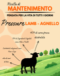 PRESSURE LAMB - RICETTA DI MANTENIMENTO
