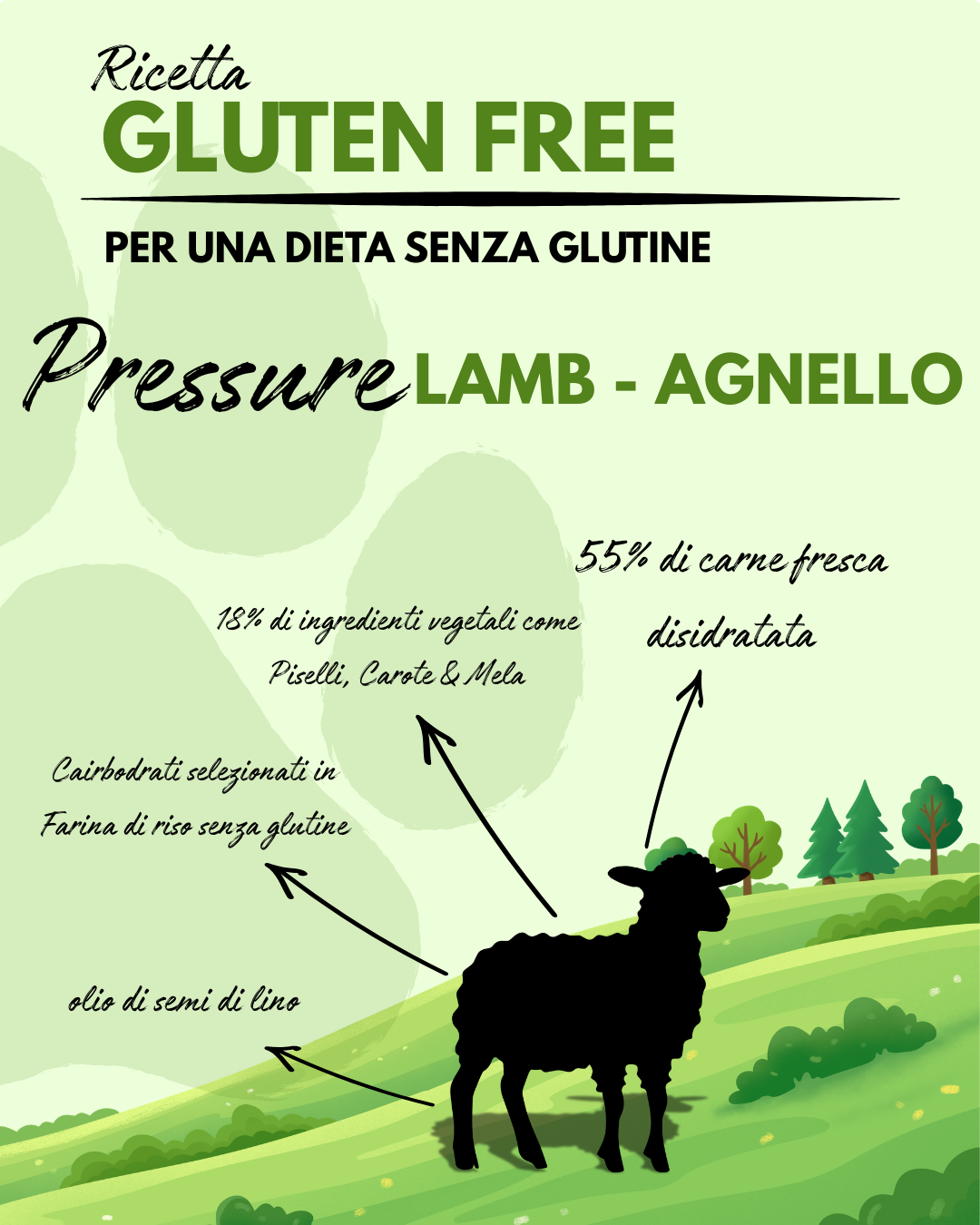 PRESSURE LAMB - RICETTA GLUTEN FREE