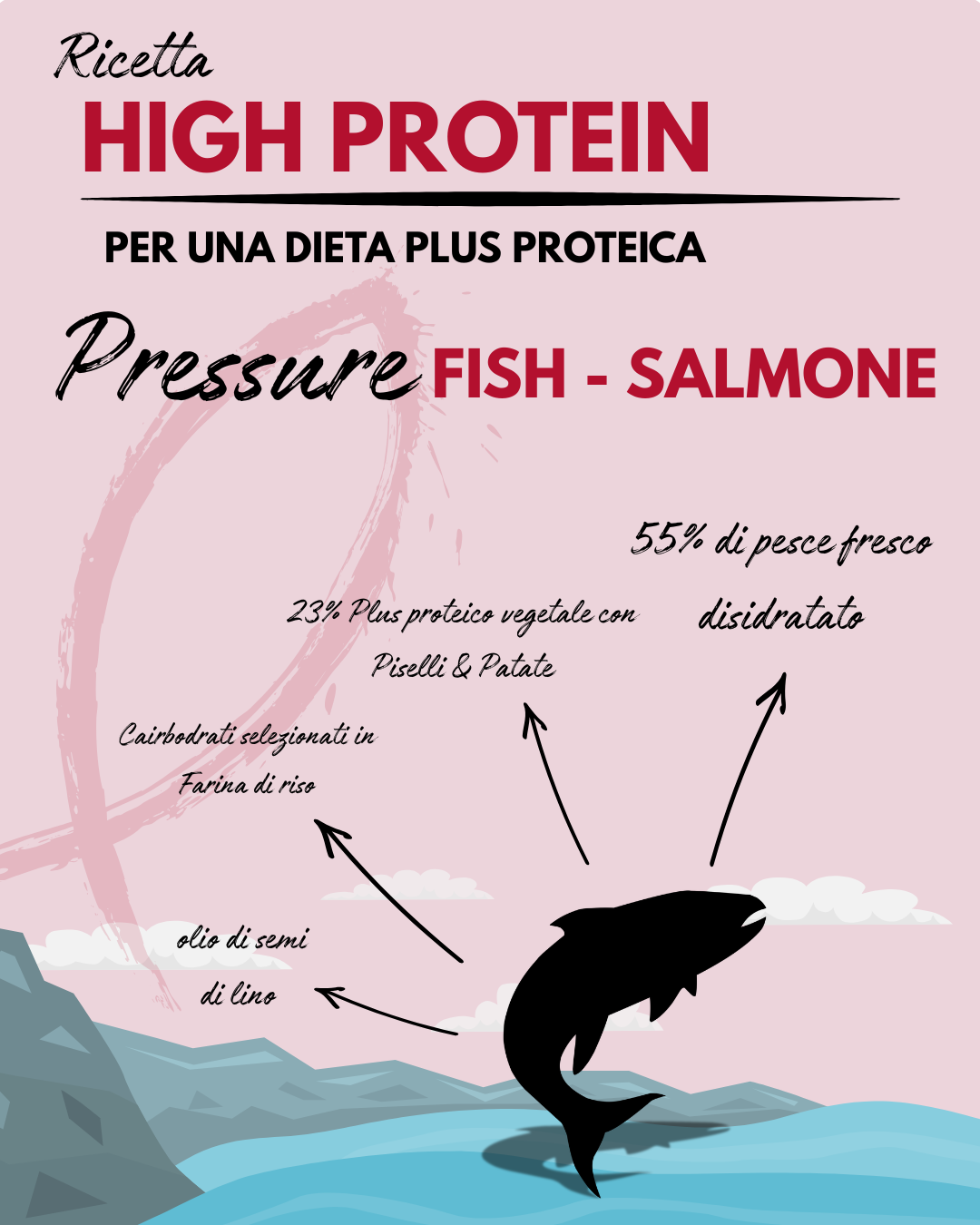 PRESSURE FISH SALMONE  - RICETTA PLUS PROTEICA