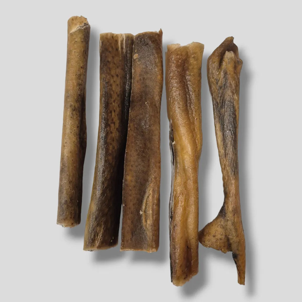 SNACK - PELLE DI CINGHIALE