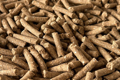 PressureFree Wild con Anatra, Lenticchie & Mela (zero cereali)