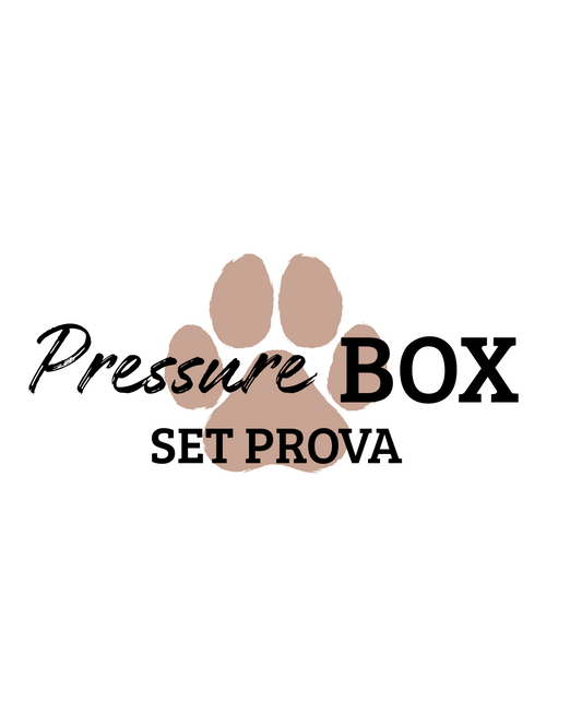 SET PROVA